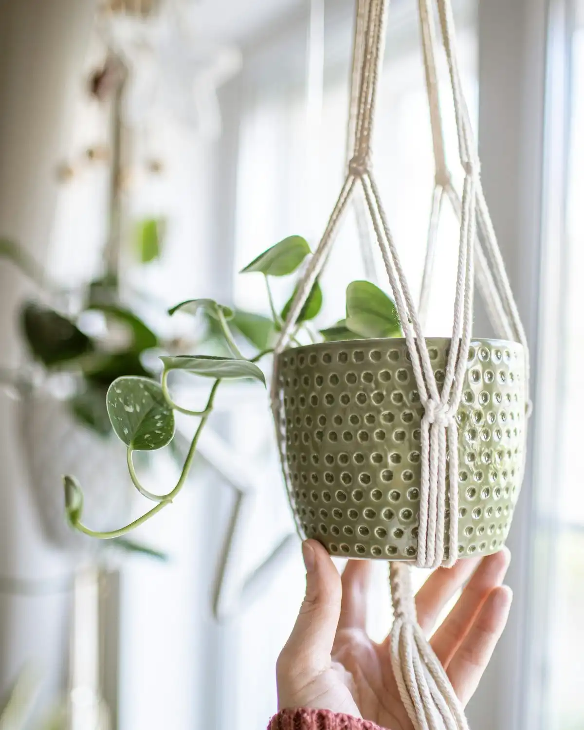Crochet Plant Hanger